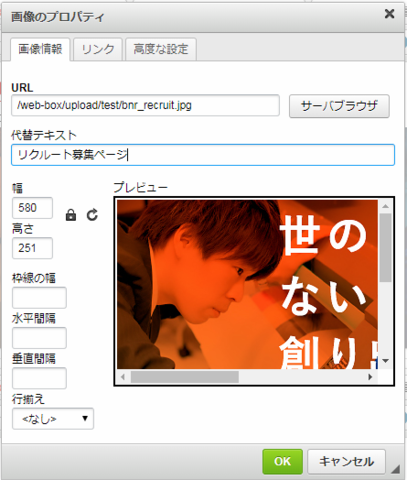 代替テキストの入力